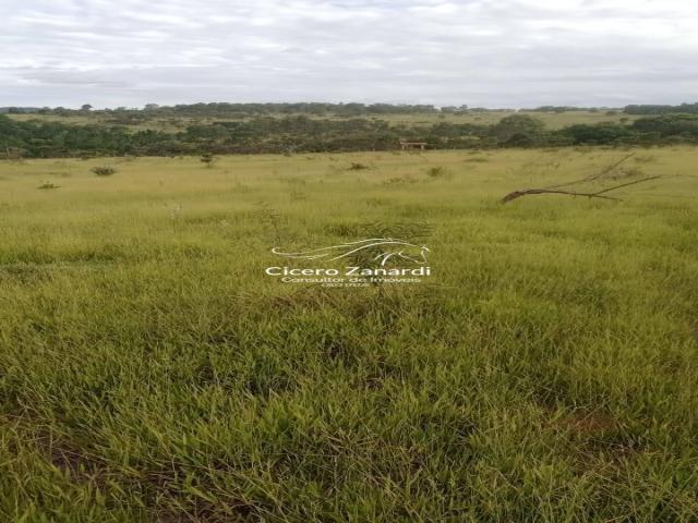 #52 - Área para Venda em Bofete - SP - 2