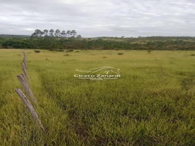 #52 - Área para Venda em Bofete - SP - 3
