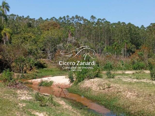 #58 - Terreno para Venda em Bofete - SP - 1